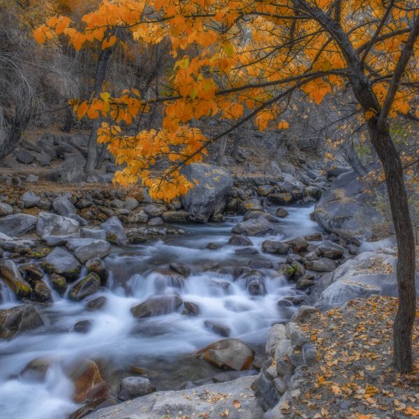 Autumn-at-Mehdiabad-Nallah-scaled